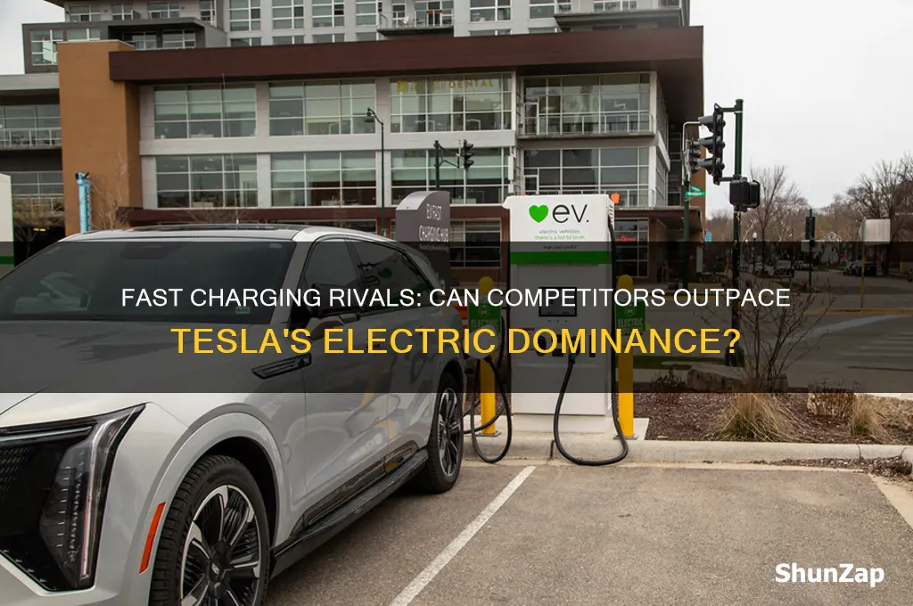 will give tesla a run fast charging electric cars