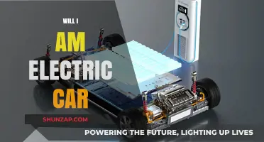 Will.i.am's Electric Car Revolution: Innovation, Sustainability, and Future of Mobility