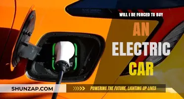 Electric Car Mandates: Will You Be Forced to Make the Switch?