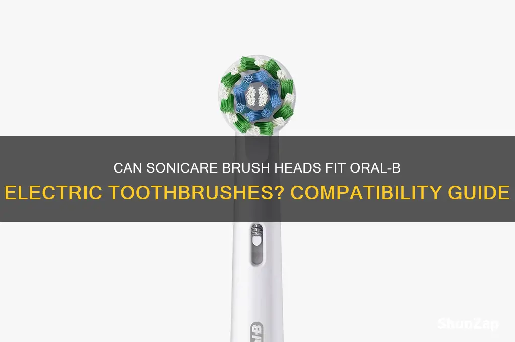 will sonic care heads fit oral b electric toothbrush