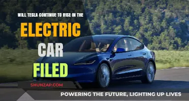 Tesla's Future: Sustaining Growth in the Competitive Electric Car Market?