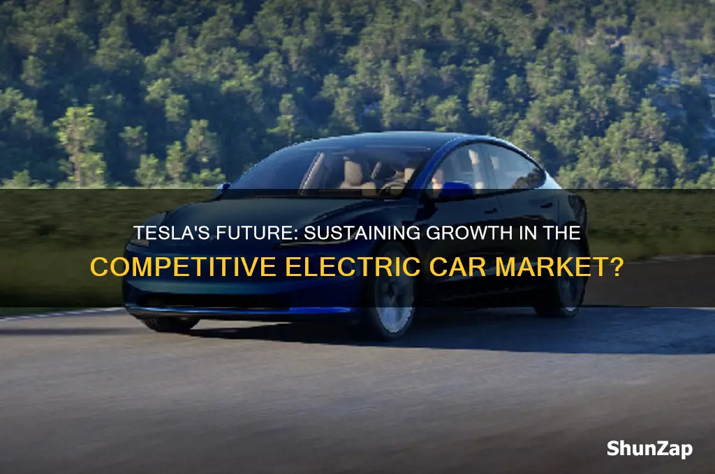 will tesla continue to rise in the electric car filed