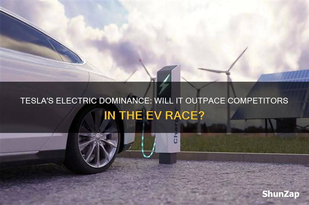 will tesla win the electric car race
