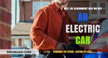 Government Incentives: Can They Help You Buy an Electric Car?