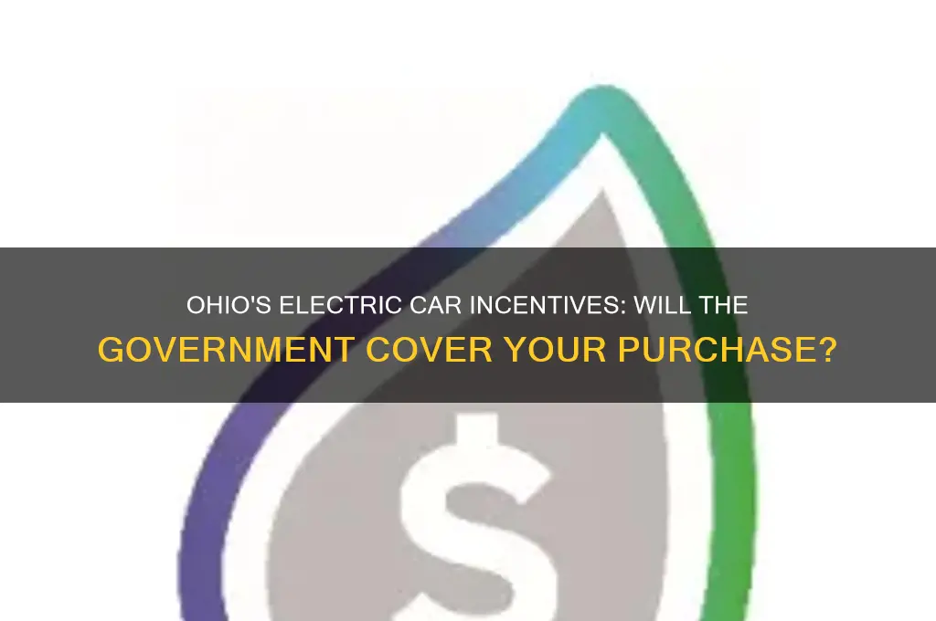 will the government in ohio pay for an electric car