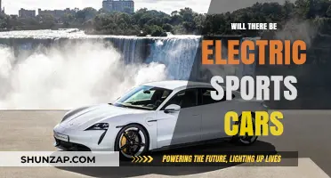 The Future of Speed: Will Electric Sports Cars Dominate the Track?