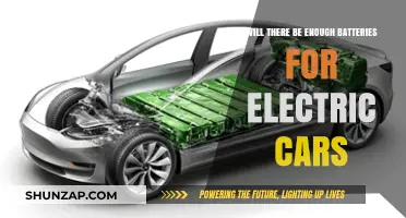 Electric Vehicle Battery Supply: Meeting the Demand for a Sustainable Future