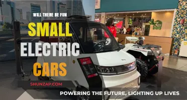 Exciting Future: Fun, Small Electric Cars on the Horizon?