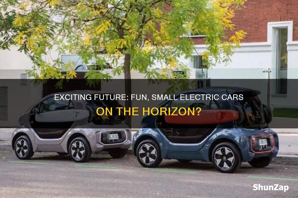 will there be fun small electric cars