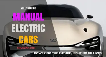 Will Manual Electric Cars Rev Up the Future of Driving?
