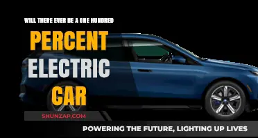 The Future of Electric Vehicles: Can We Achieve 100% Electric Cars?