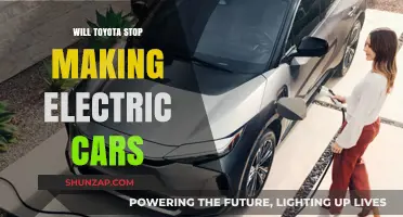 Toyota's Electric Future: Will They Halt EV Production?