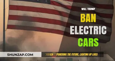 Will Trump's Policies Threaten the Future of Electric Cars?