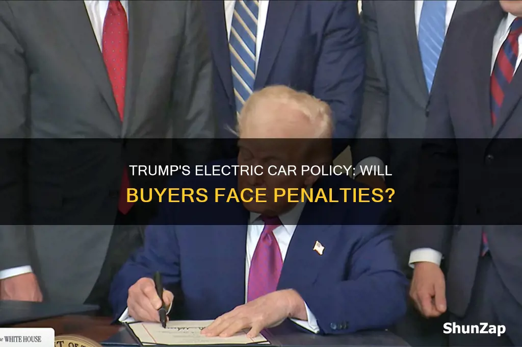 will trump punish people who buy electric cars