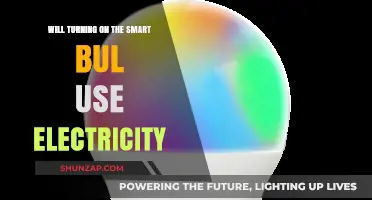 Does Using Smart Bulbs Increase Your Electricity Consumption?