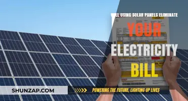 Can Solar Panels Completely Eliminate Your Monthly Electricity Bill?