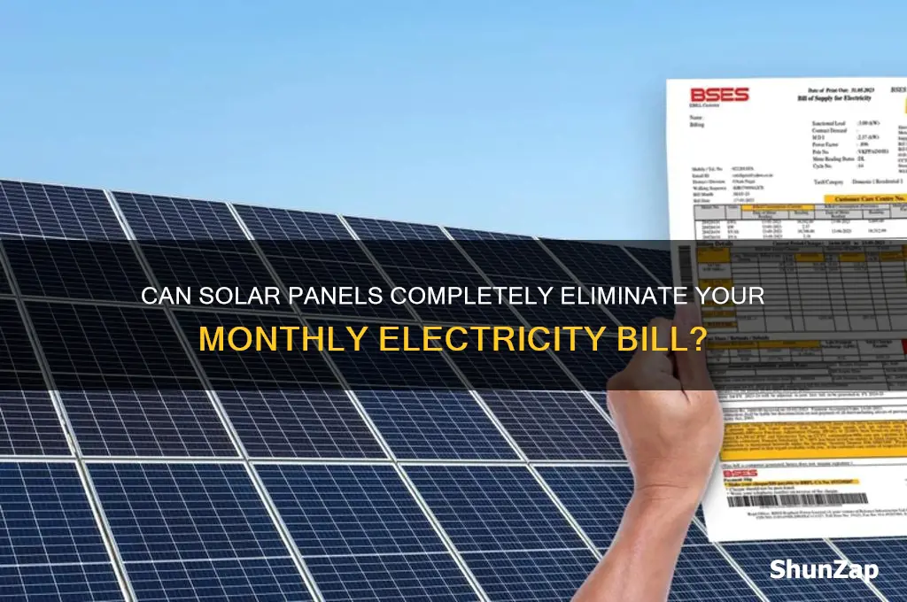 will using solar panels eliminate your electricity bill