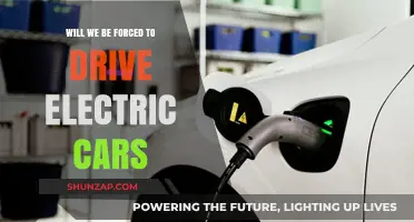 Electric Cars: Will Government Mandates Force a Green Revolution?