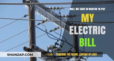 Will We Care in Martin, TN: Electric Bill Payment Options Explained