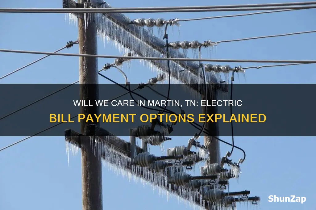 will we care in martin tn pay my electric bill