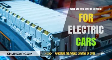 Will Lithium Supplies Meet the Growing Demand for Electric Vehicles?