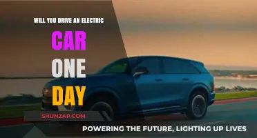 Electric Cars: The Future of Driving? Your Next Ride Awaits