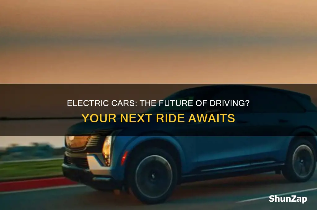 will you drive an electric car one day
