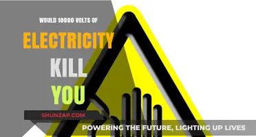 High-Voltage Hazards: Can 10,000 Volts Kill?