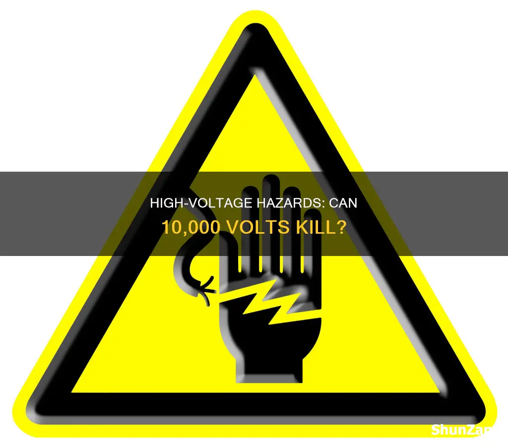 would 10000 volts of electricity kill you