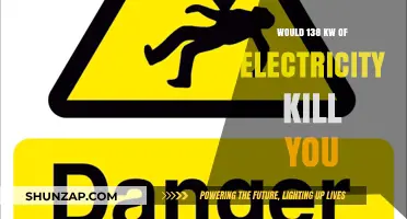 High Voltage Hazard: 138 kW Shock Factor