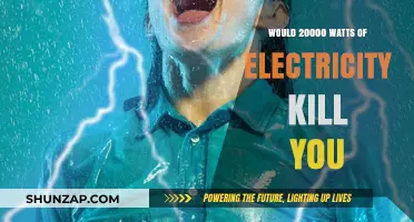 High Voltage: 20,000 Watts of Electricity – Deadly?