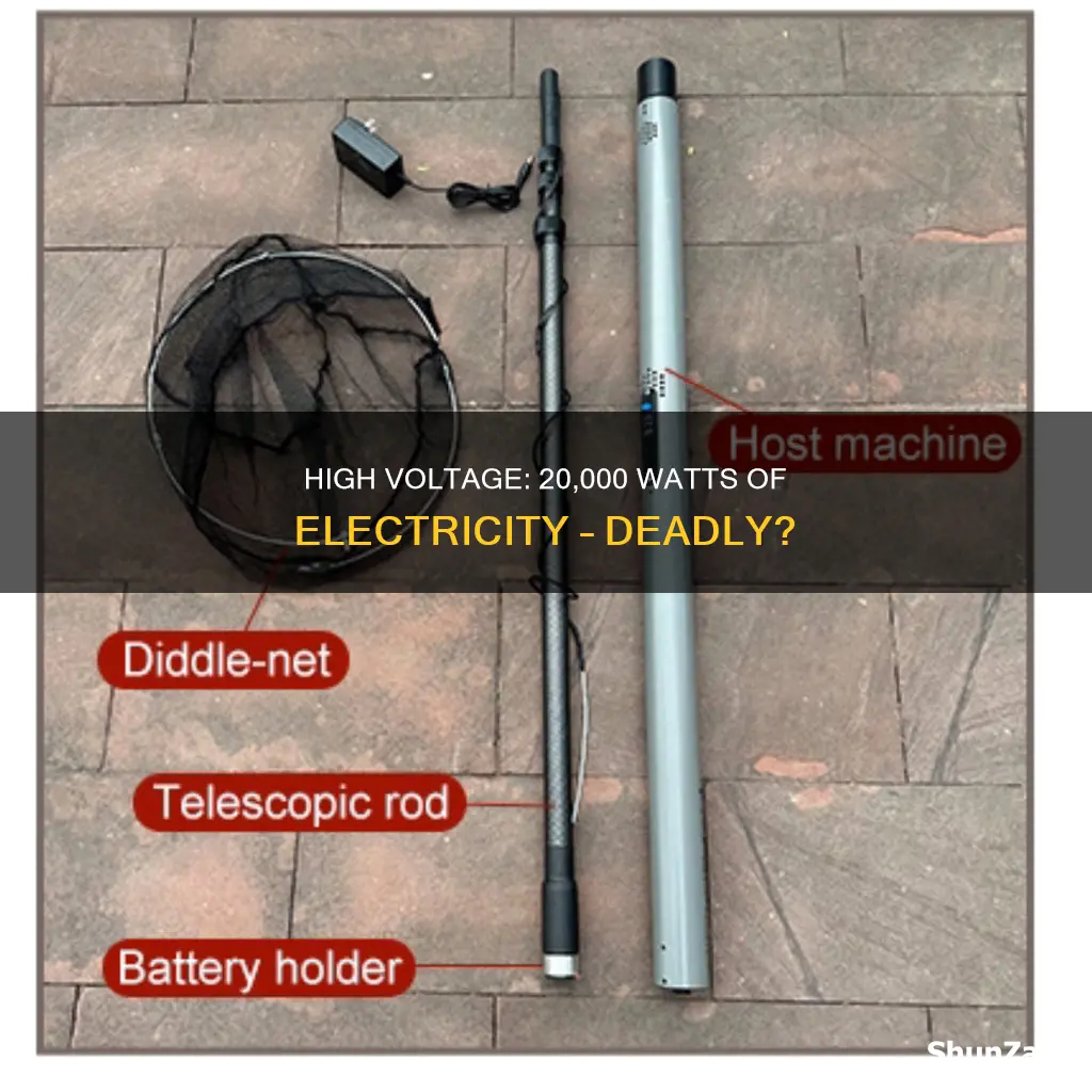 would 20000 watts of electricity kill you