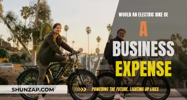 Electric Bike: Business Expense or Personal Luxury?