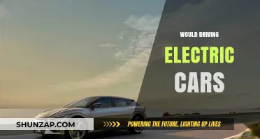 Would Driving Electric Cars Revolutionize Your Daily Commute and Eco-Impact?