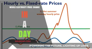 Electricity Prices: Fluctuating Throughout the Day