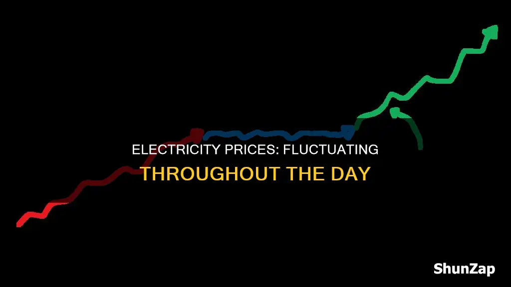 would electricity price change in a day