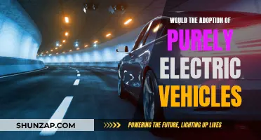 Electric Revolution: Powering a Sustainable Future with EVs