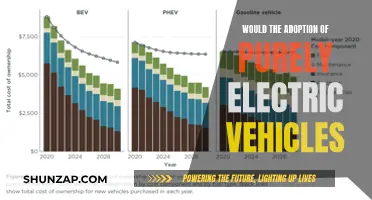 The Future of Electric Vehicles: Purely Electric or Hybrid?