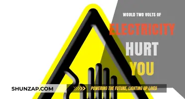 Electric Shock Safety: Understanding Voltage Danger