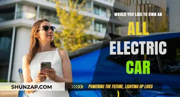Should You Go Electric? Pros, Cons, and Future of EV Ownership