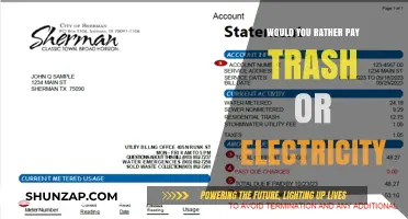 Trash or Electricity: What's Your Priority?